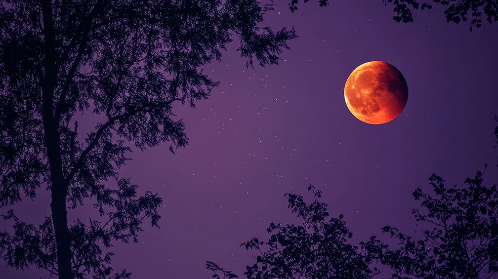 AdobeStock_1135421379