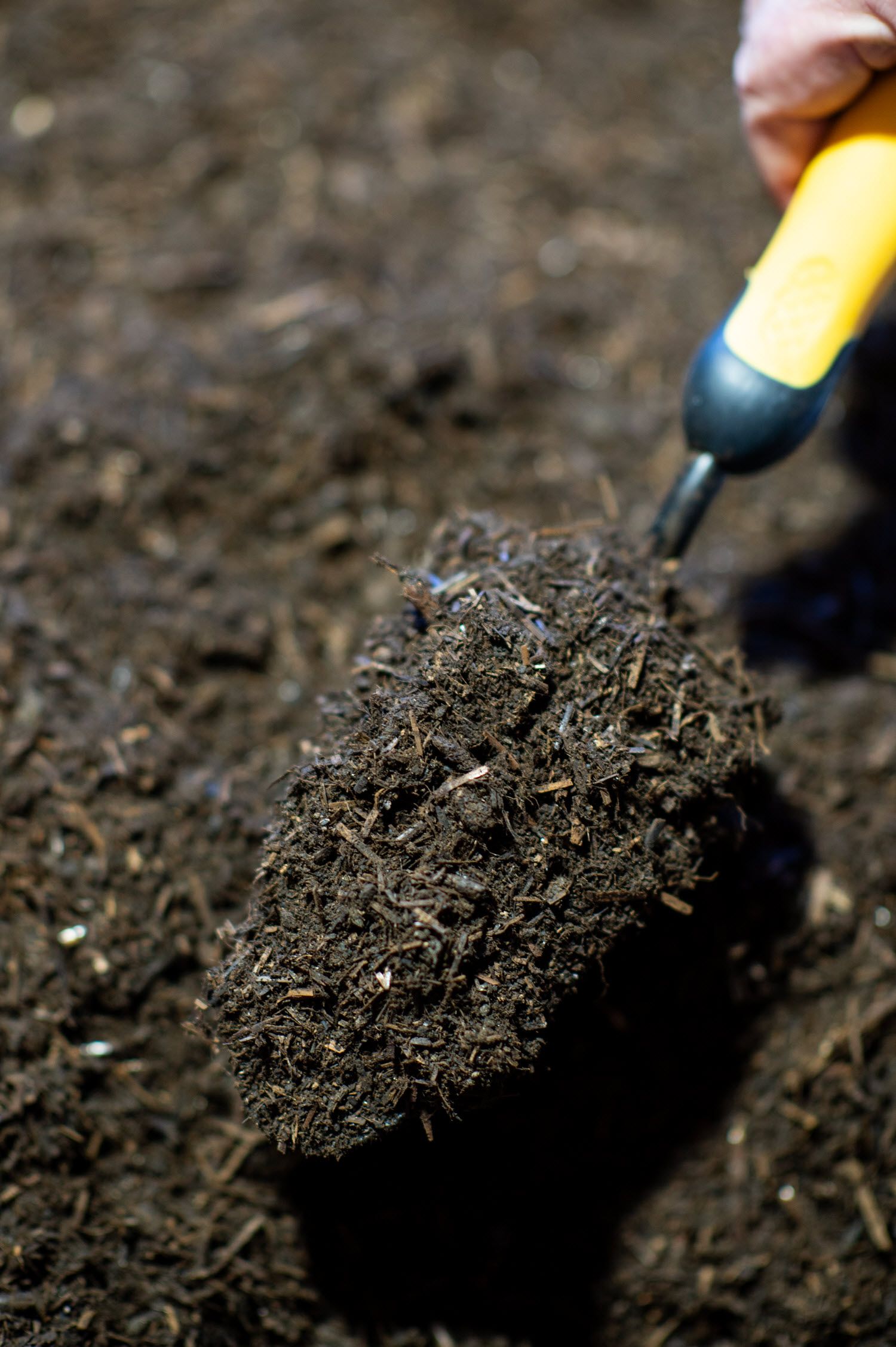 Goat dung manure 2 CopyITG 1741188296342