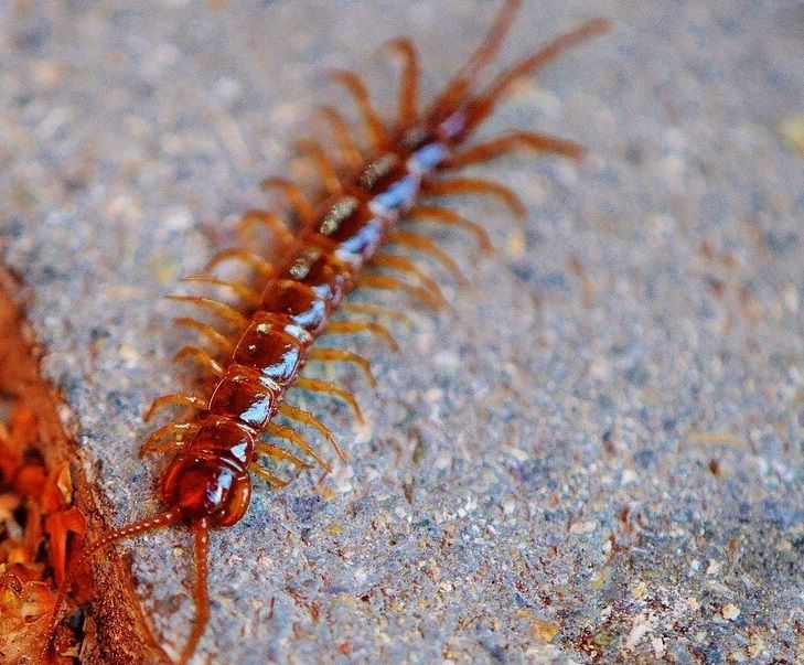 ????????????????????? ???????????? ??????????????? ?????????????????? ??????????????? ?????????????????? ???????????????? - Indication of seeing a ...