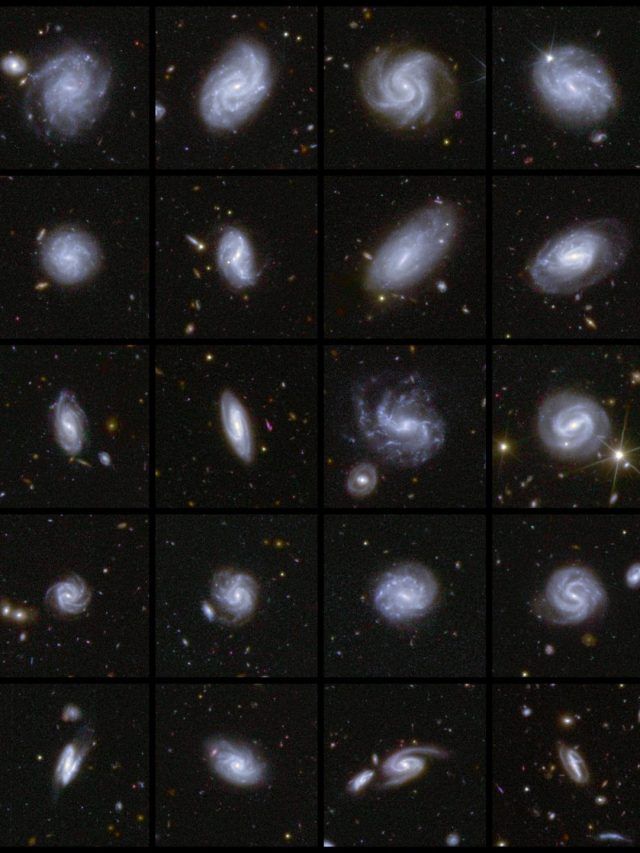 ‘Dark universe exposed’: Euclid captures 26 million galaxies in just one week