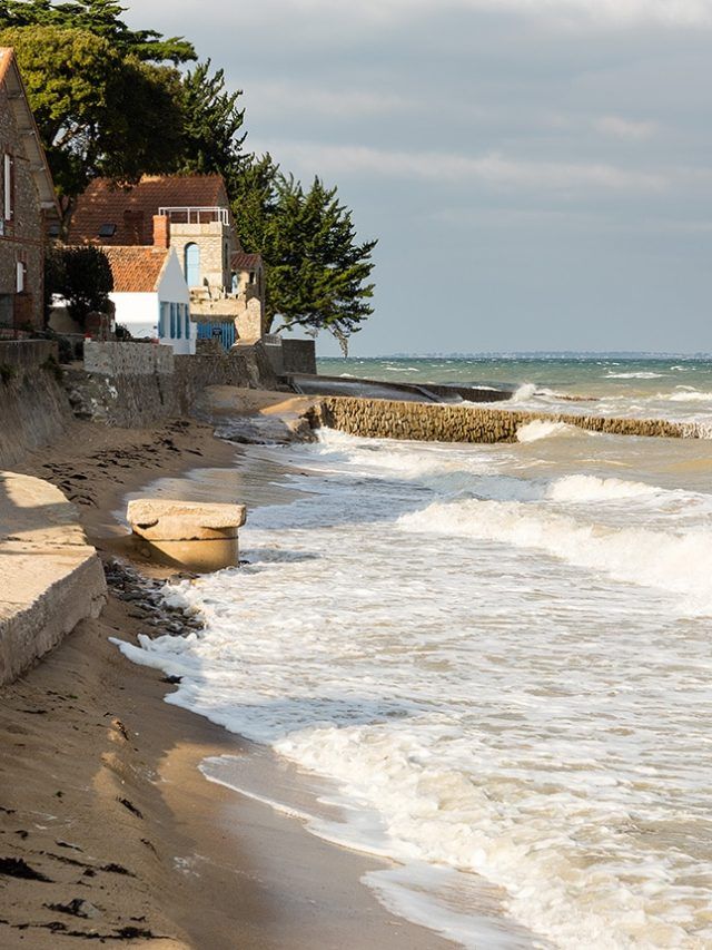 ‘Nature’s red flag’: Ancient peat layers show fast sea rise and science warns we could be next