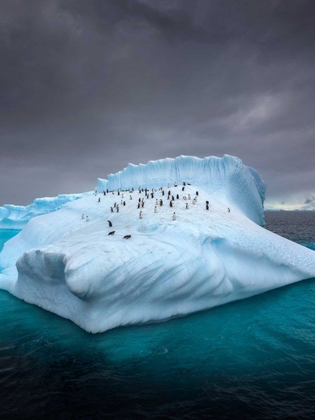 'Antarctica’s ice could collapse faster': New discover raises alarming questions