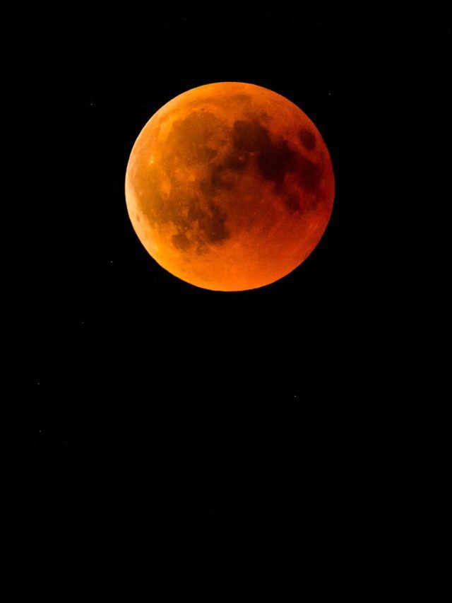 'From worm to Blood Moon': March's eclipse will wow the world, here's what will happen