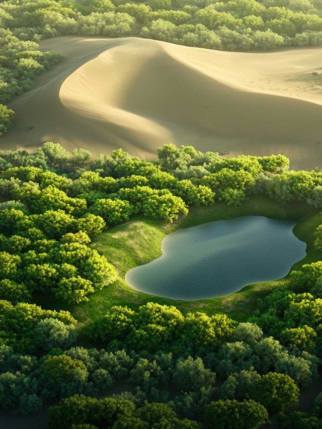'The size of Germany': 600,000 workers in China are turning desert into a green fortress