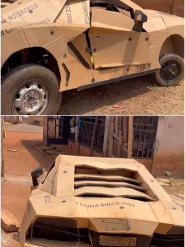 गजब का जुगाड़... भाई ने गत्ते से बनाई लेम्बोर्गिनी, फर्राटे भरते दिखी कार