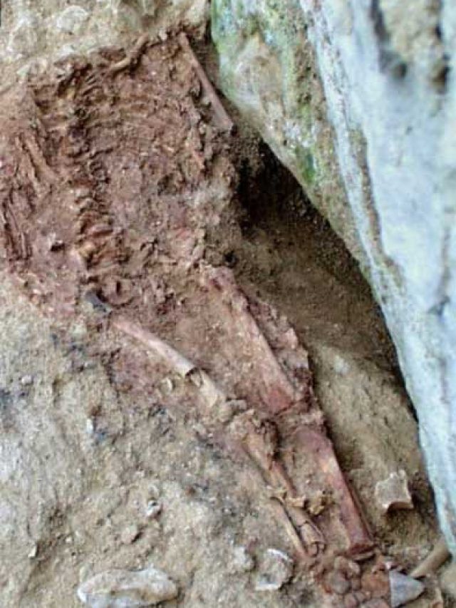 'Ancient hybrid child found': Proof that Neanderthal blood may still flow in us