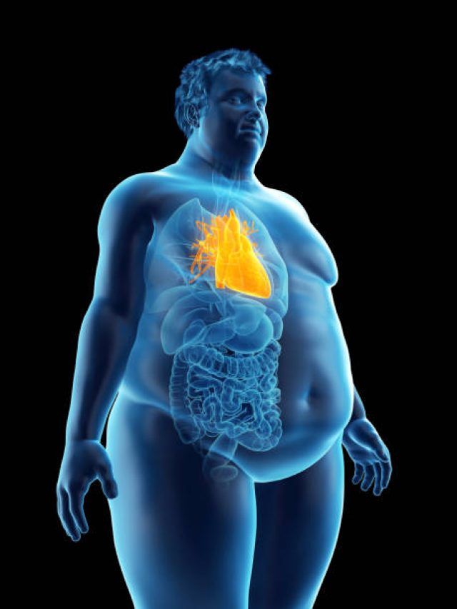 रोज सुबह खाली पेट पिएं इस चीज का पानी, पिचककर आधा रह जाएगा मोटा पेट