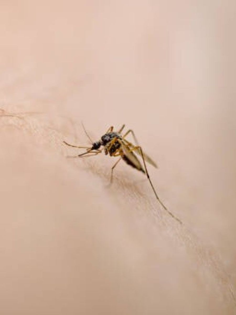 Uzbekcha seks damashni Yoshlarning anal porno fotosuratlari