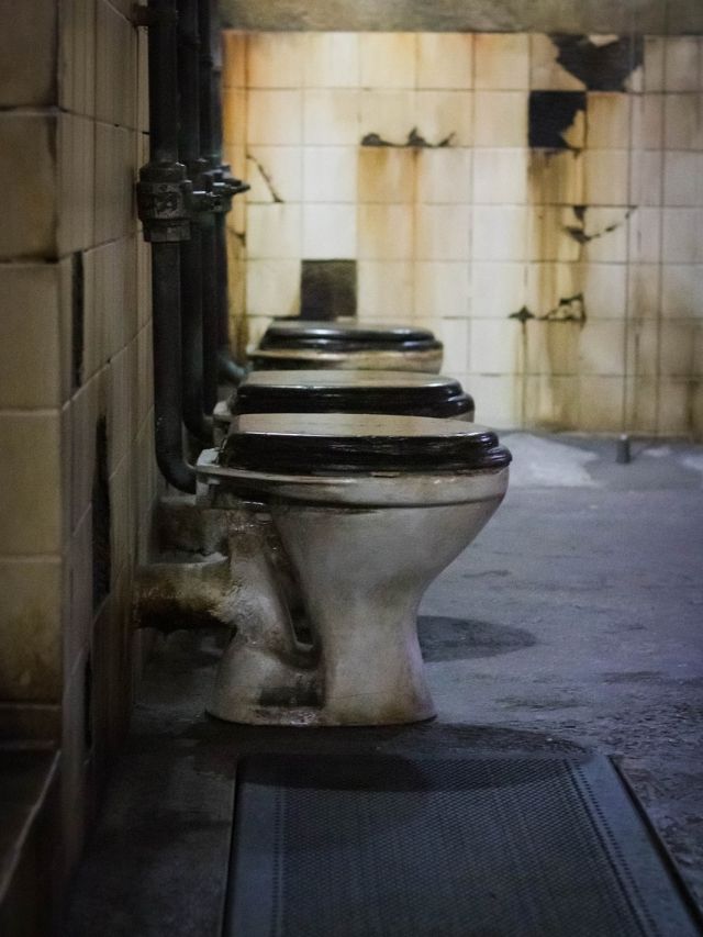 क्या आपको भी हो रही हैं ये दिक्कतें? गंदा बाथरूम भी है इसकी एक वजह