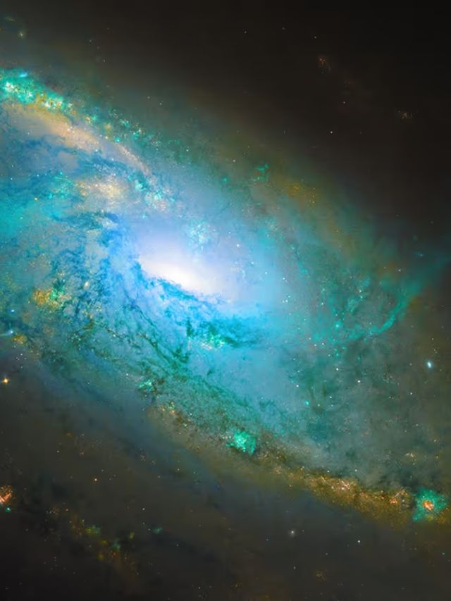 'Monster in clouds': 600,000 solar mass black hole found next door to Milky Way