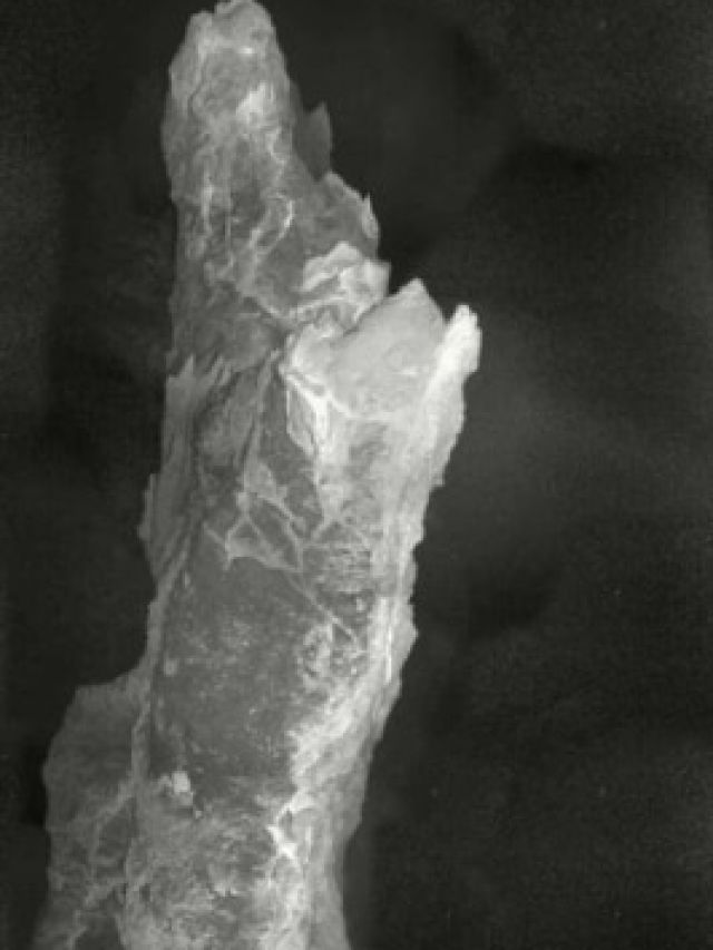 ‘120,000-year-old’: Mysterious city in the Atlantic that thrives without sunlight found