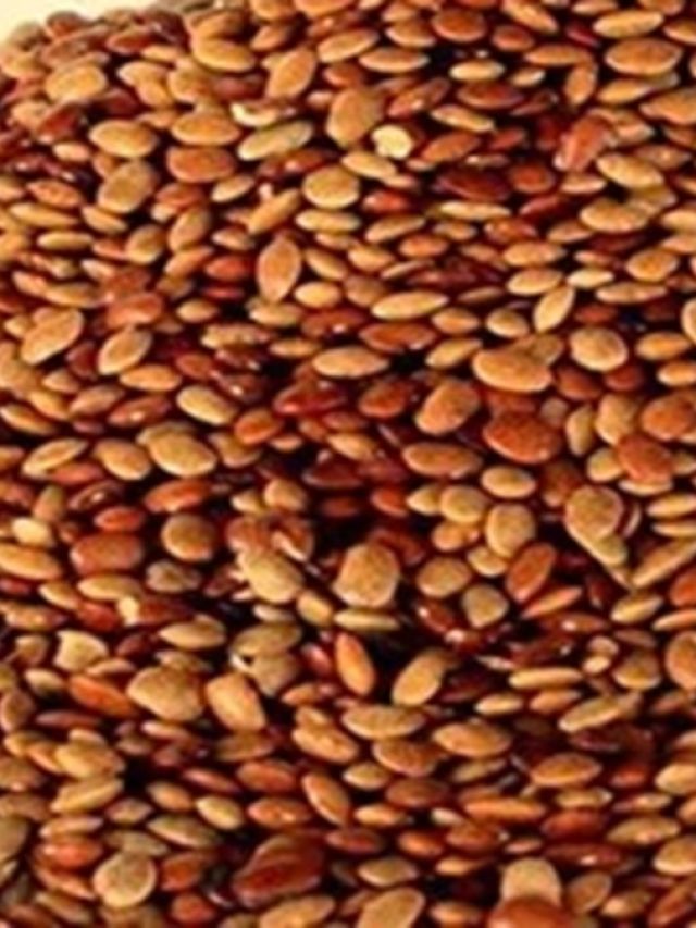 इस दाल का पानी पीने से वजन होगा कम, किडनी में स्टोन की समस्या से भी मिलेगी राहत