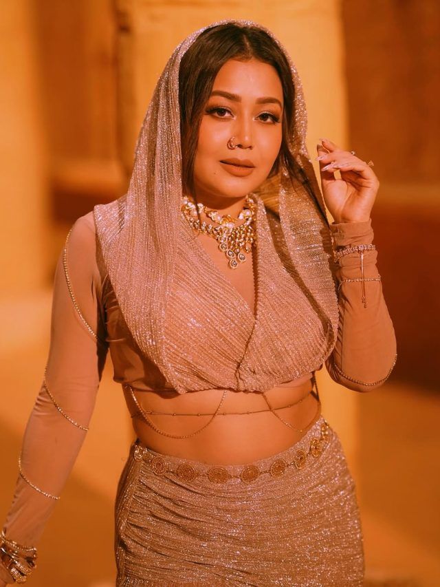 कॉन्सर्ट में देरी से पहुंचने पर सिंगर हुई थीं ट्रोल, अब दिया जवाब- सच जानने पर पछताएंगे...