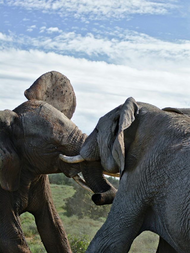 cropped pexels bert 6926305 5985284ITG 1740983512127 scaled 1