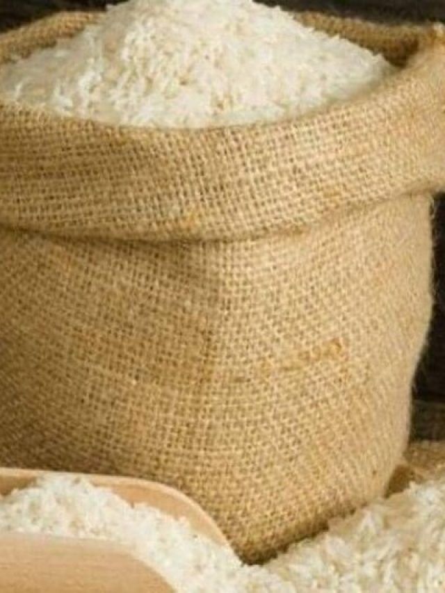 चावल-दाल में लग जाते हैं कीड़े तो उसमें डाल दें ये चीजें, फौरन निकल जाएंगे बाहर