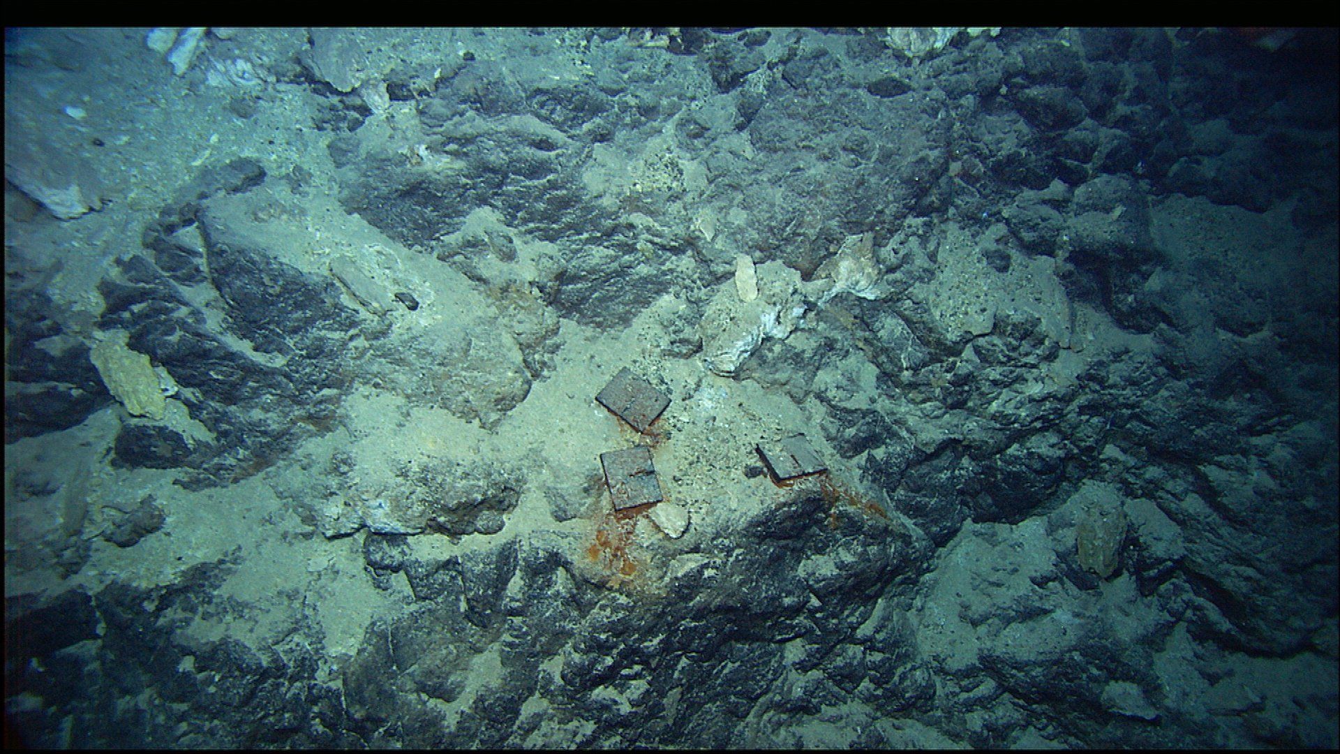 120,000-year-old': Mysterious city in the Atlantic that thrives without  sunlight found