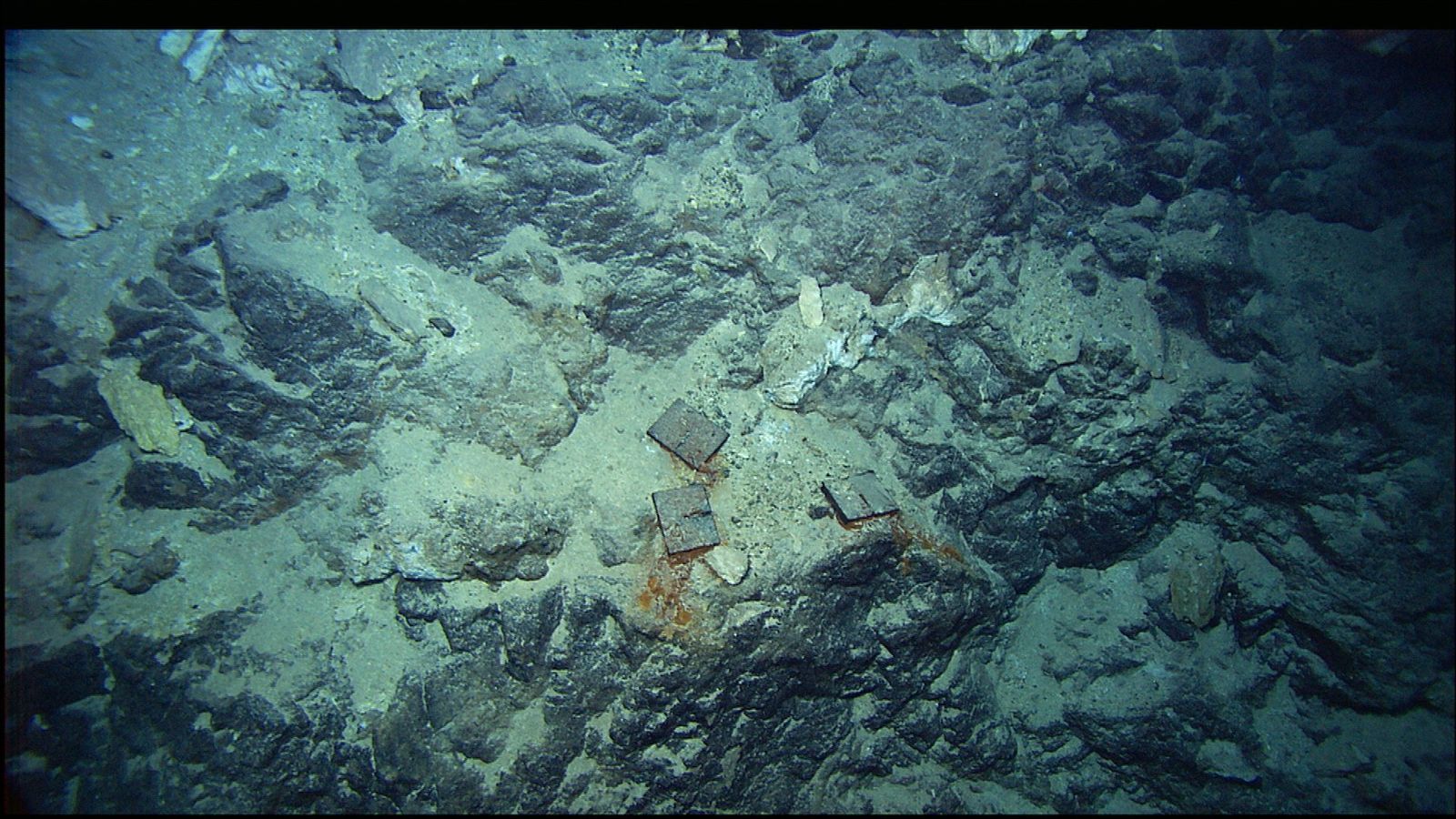120,000-year-old': Mysterious city in the Atlantic that thrives without sunlight found