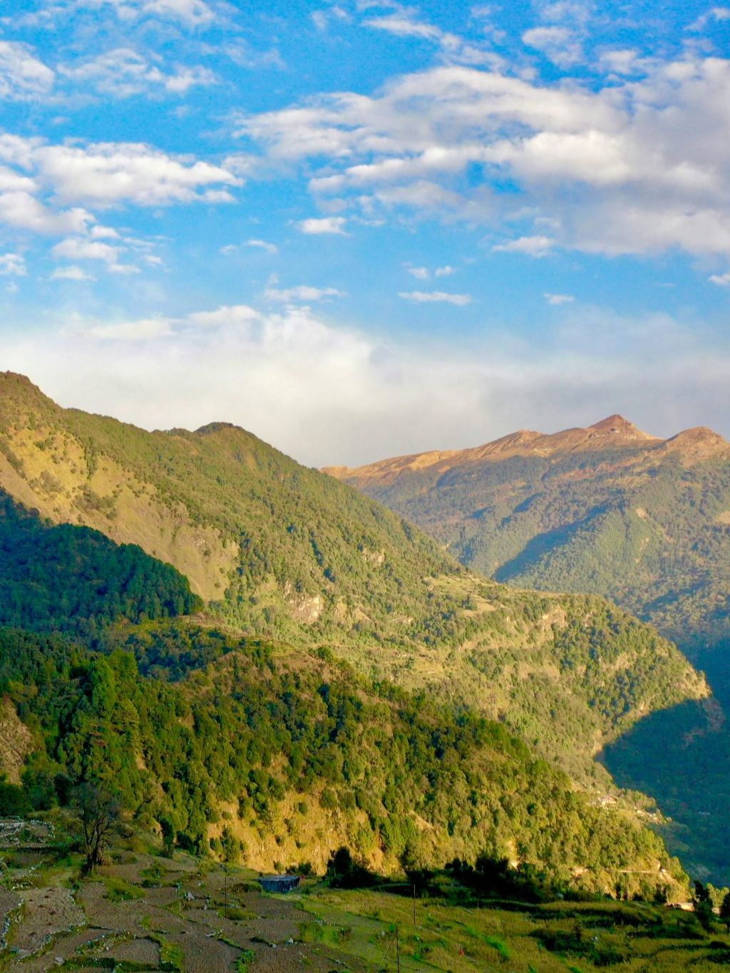 pexels priyan rughani 413073220 15106585 choptaitg 1742567354484 scaled 656 875