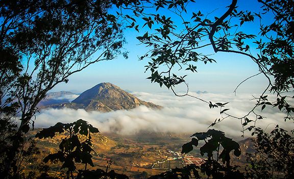 AdobeStock_135473144
