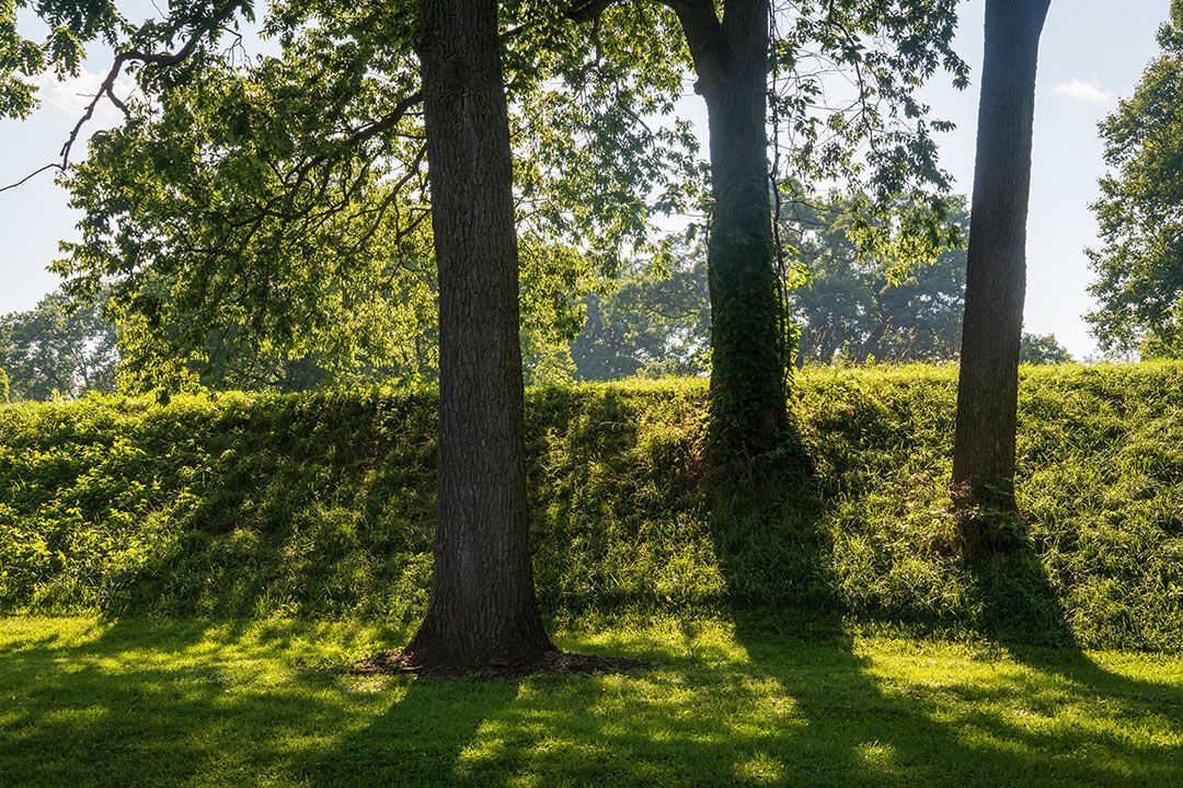 AdobeStock_692374016