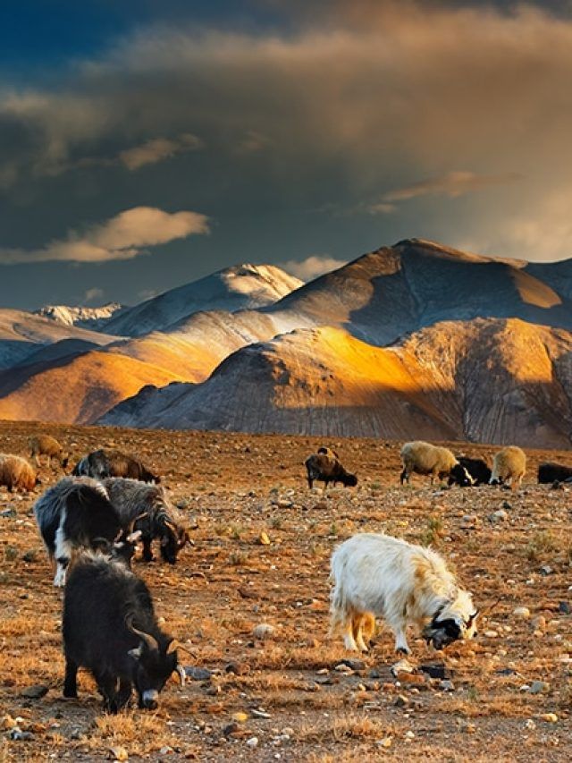 'Helium hint from Tibet': India’s plate may be peeling like layers of a giant geologic onion