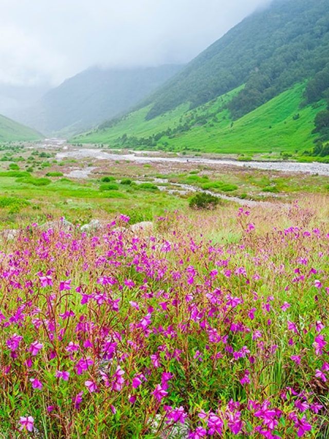 'India’s lost trails': Secret Himalayan treks every adventurer must do once