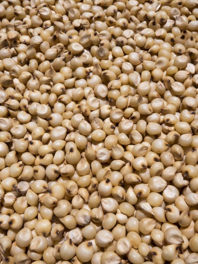 दिन में एक बार जरूर करें इन दानों का सेवन, पहले जान लें फायदे