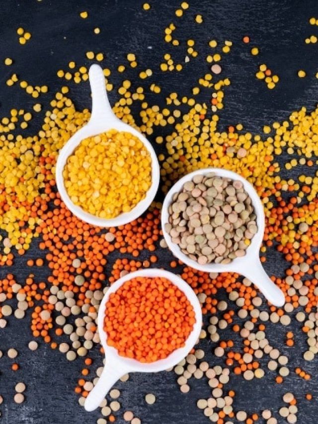 प्रोटीन की 'खान' हैं ये दालें...वेजिटेरियंस के लिए वरदान, वेट लॉस में भी फायदेमंद