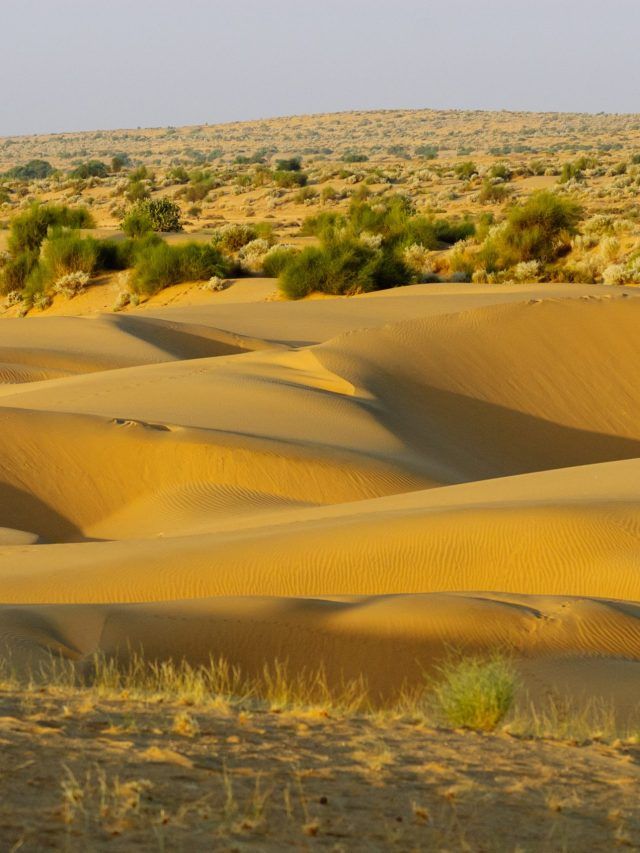 'India’s desert is turning green': Thar stuns scientists with 38% vegetation spike