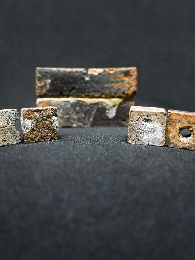 ‘Made in Bengaluru for Moon’: India’s bacteria bricks could build the first lunar base