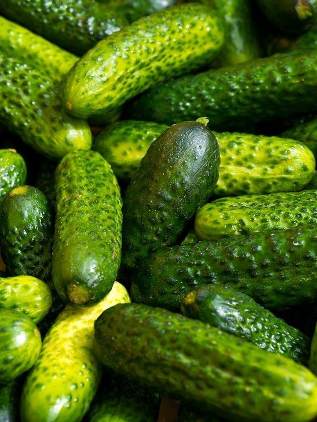 खीरा कड़वा है या नहीं? देखते ही पहचानने के लिए ये तरीके आएंगे काम