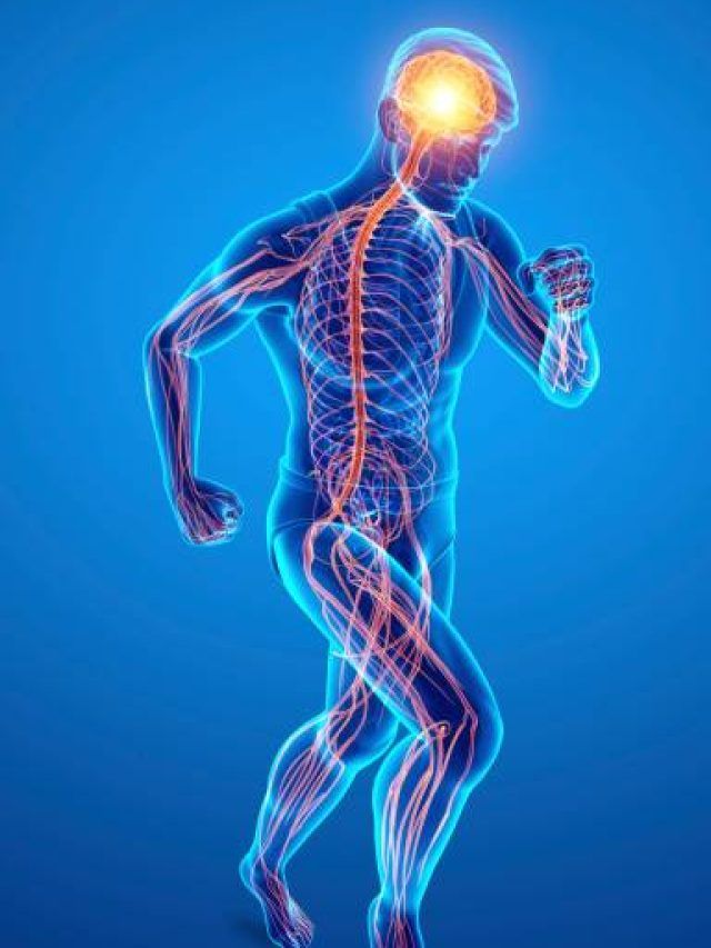 ये संकेत बताते हैं कि शरीर में हो गई है विटामिन बी 12 की कमी, ऐसे करें दूर