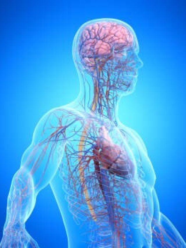 दिमाग Sharp करने के लिए रोज खाएं 3 चीजें, याद्दाश्त भी होगी बेहतर