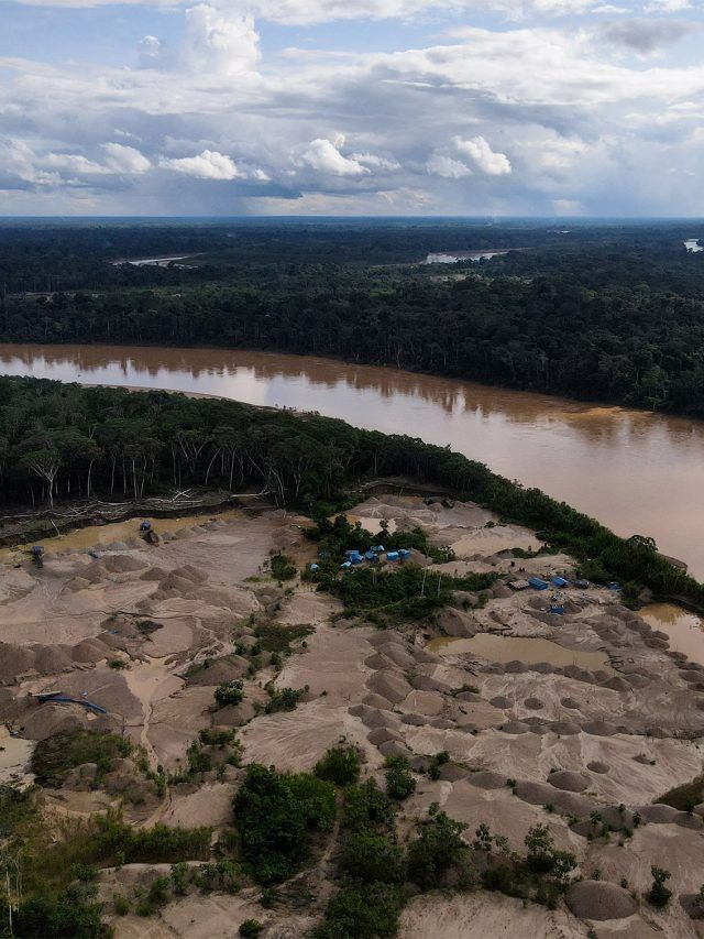 'Amazon’s toxic time bomb': How trees reveal the invisible scars of gold mining