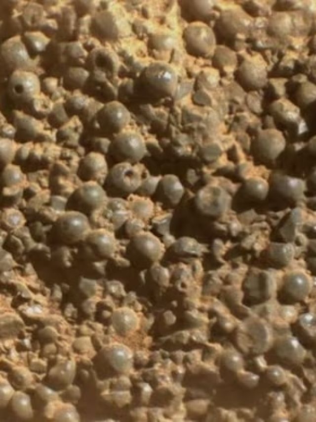 'Are those blueberries or eggs?': Mars yields new spherules with pinholes and fractures