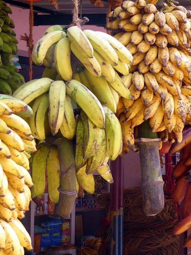 দোকানে কী কারণে কলা ঝুলিয়ে রাখা হয়? জানলে আপনিও এটাই করবেন