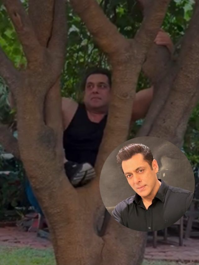 पेड़ पर चढ़े 59 साल के सलमान, 'सिकंदर' के फ्लॉप होने का नहीं गम, कर रहे चिल