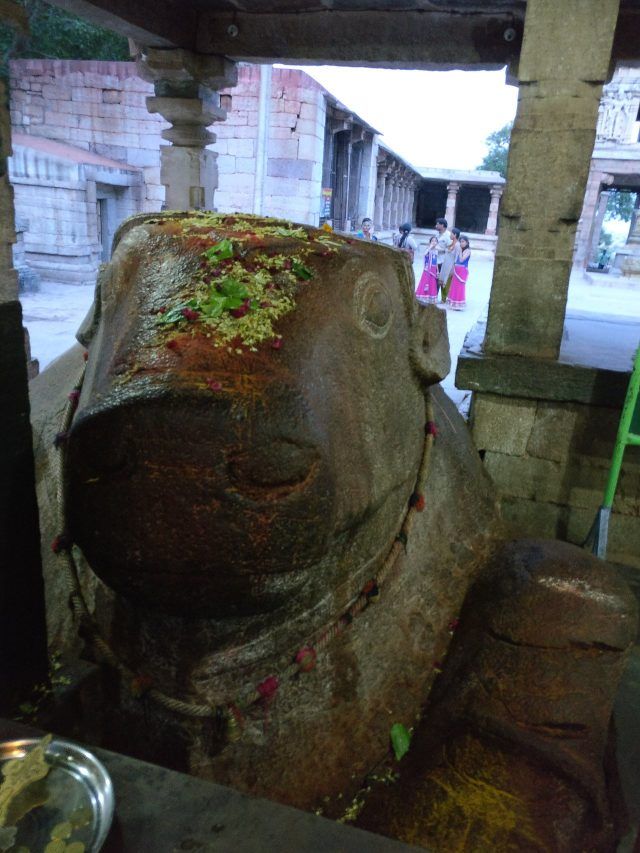 ‘Yerramala’s biggest mystery’: This Nandi idol in AP temple is growing and no one knows how
