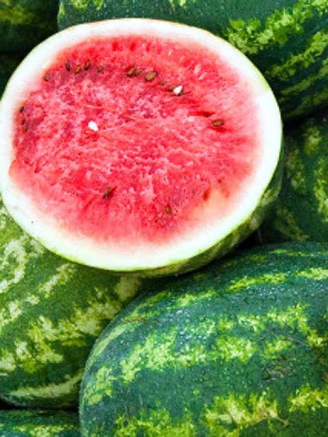 कहीं आप तो नहीं खा रहे हैं इंजेक्शन वाला तरबूज? ऐसे पहचानें