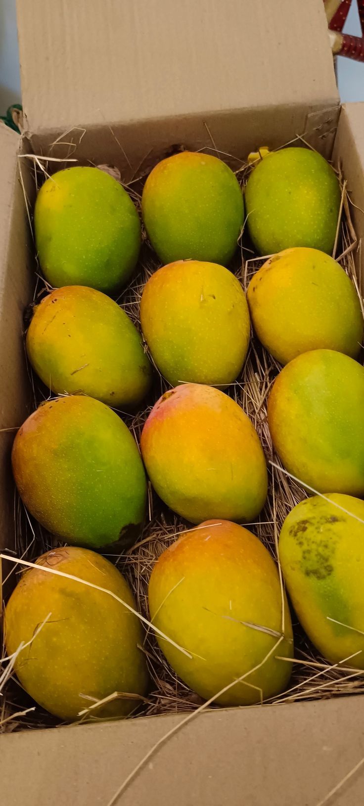 mango 11ITG 1745576039459