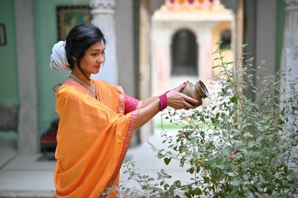 tulsi mistakesITG 1745668359899