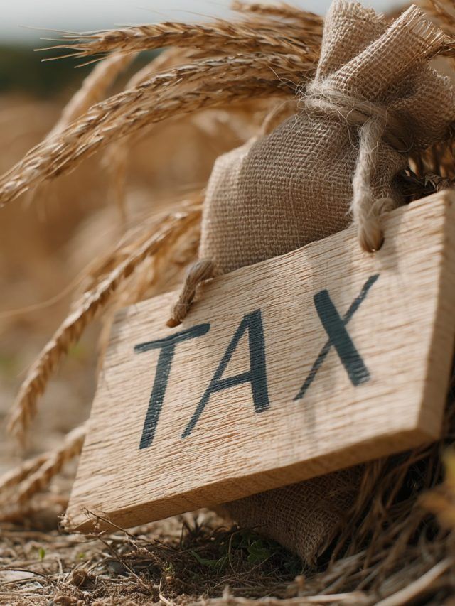 Tax-free farming lie?: What salaried Indians aren’t told before buying farmland