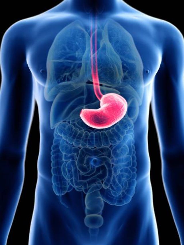 शरीर में जम रही गंदगी होने लगेगी साफ, सुबह खाली पेट पिएं ये 3 ड्रिंक्स