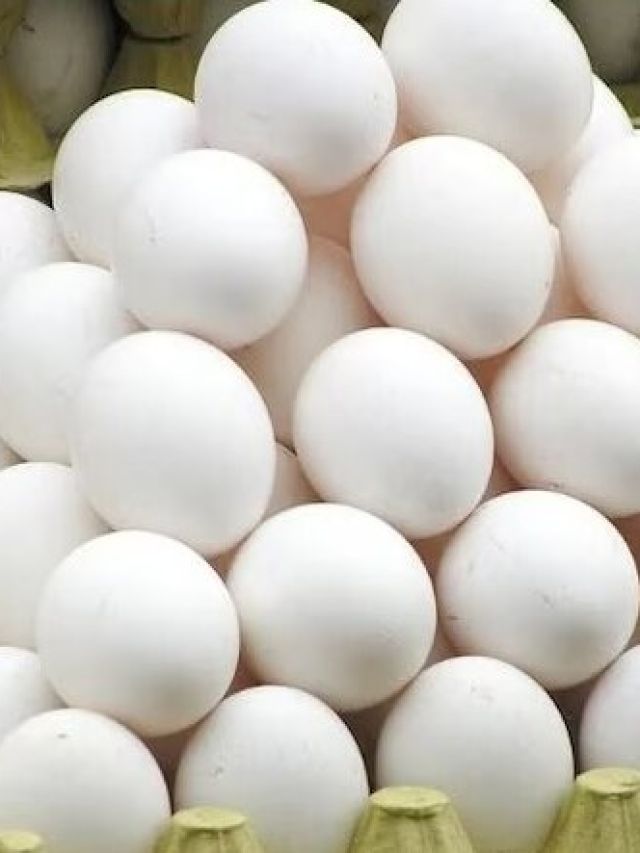 কতদিন পর ডিম নষ্ট হয় ? ১০০% লোকই জানেন না