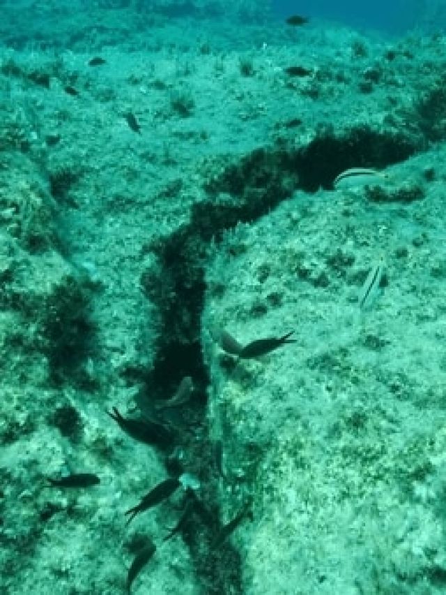 'The ocean is cracking': Earth’s strongest plate is tearing apart beneath the Pacific