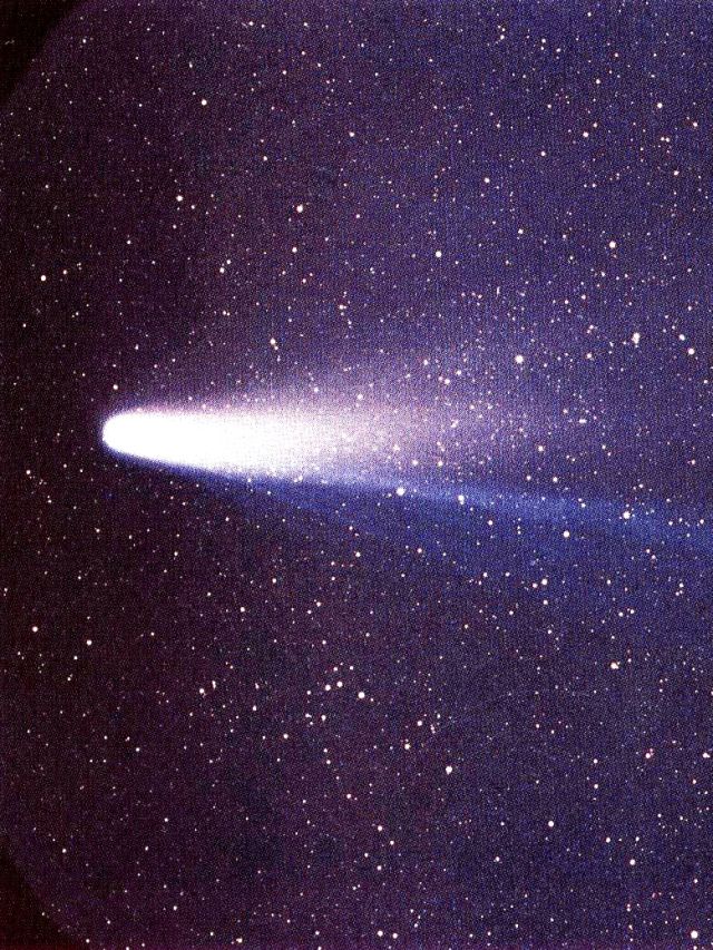 'Halley’s Comet is back': How to watch 40 meteors an Hour in India before sunrise