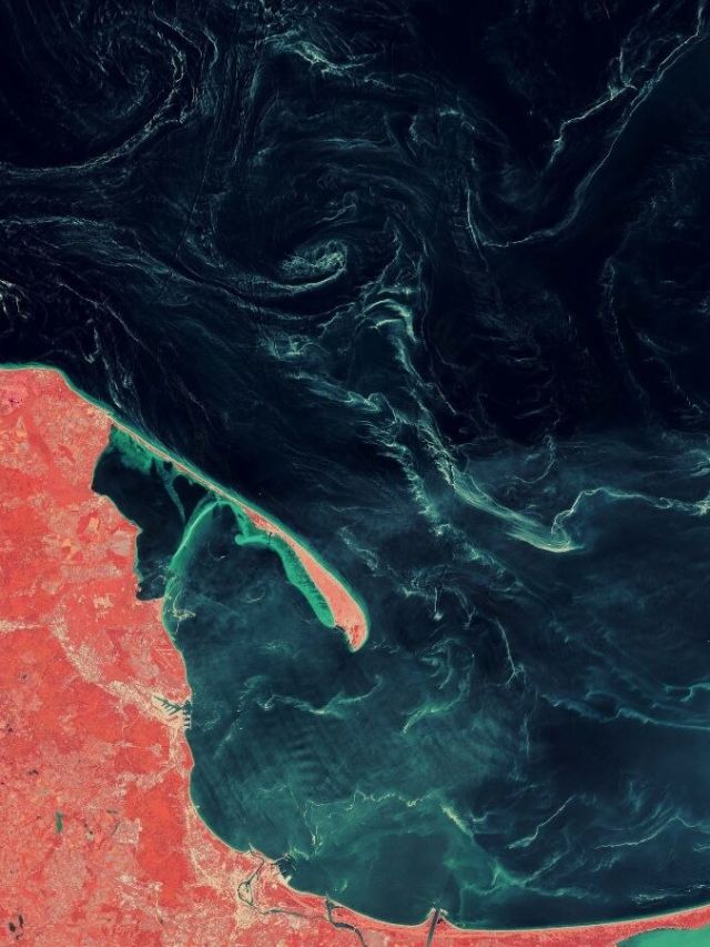 'Green mystery': Giant slicks spotted in the Baltic Sea aren’t algae