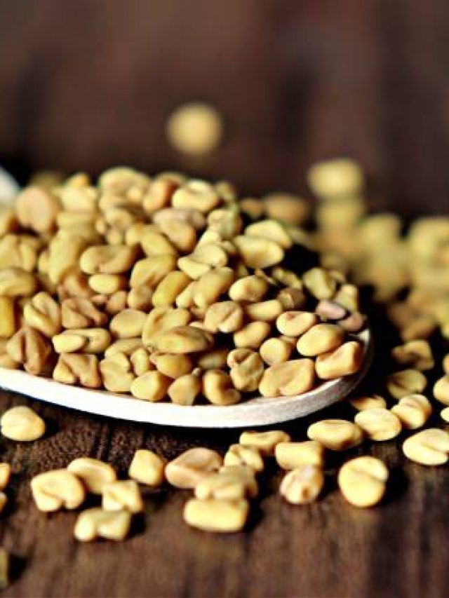 पेट की चर्बी 30 दिन में लगेगी गलने, बस हेल्दी डाइट के साथ खाएं ये सस्ते बीज