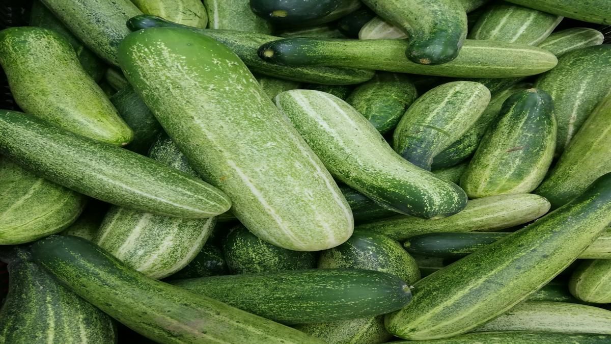 No More Bitter Cucumbers! Try These Simple Hacks