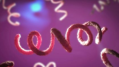 All you need to know about syphilis